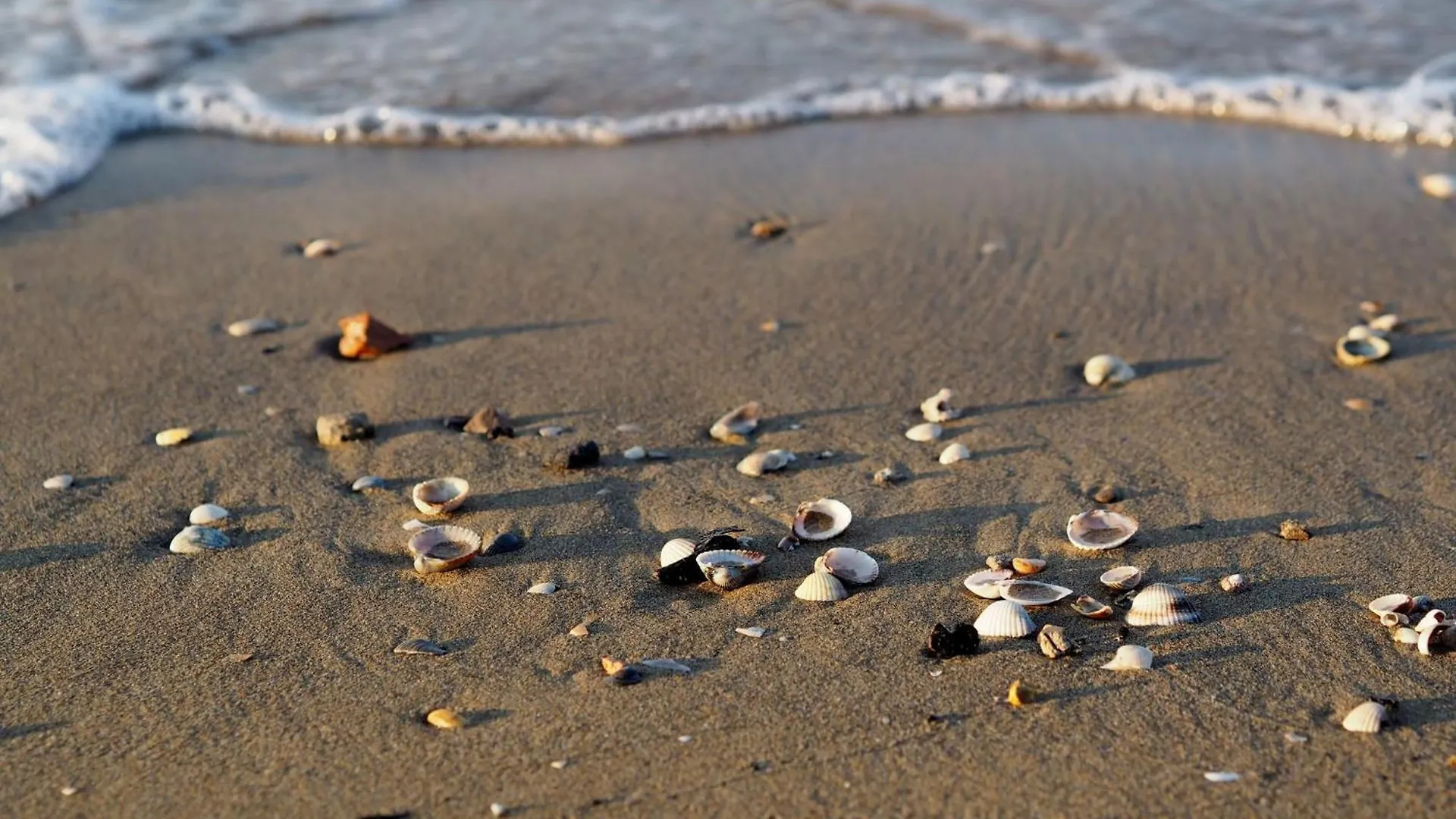 Comfortable Apartment In Bibione Spiaggia